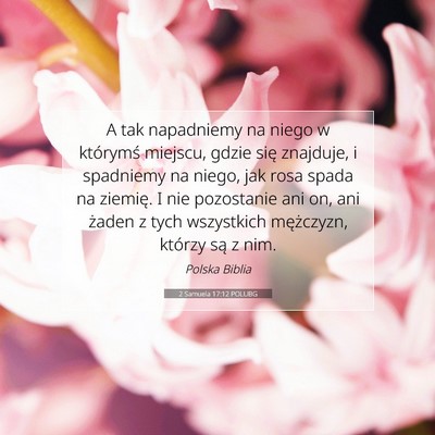 Picture 07 - 2 Samuela 17:12 POLUBG - A tak napadniemy na niego w którymś miejscu, - Bible Verse Picture