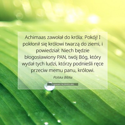 Picture 07 - 2 Samuela 18:28 POLUBG - Achimaas zawołał do króla: Pokój! I - Bible Verse Picture
