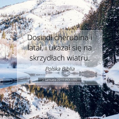 Picture 07 - 2 Samuela 22:11 POLUBG - Dosiadł cherubina i latał, i ukazał się na - Bible Verse Picture