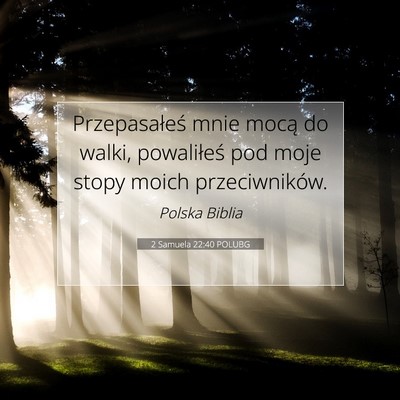 Picture 07 - 2 Samuela 22:40 POLUBG - Przepasałeś mnie mocą do walki, powaliłeś - Bible Verse Picture