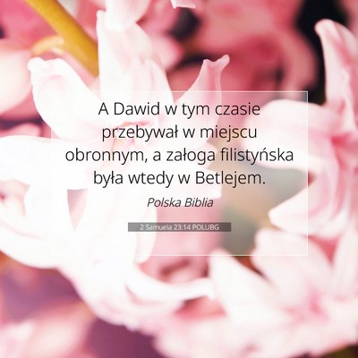 Picture 07 - 2 Samuela 23:14 POLUBG - A Dawid w tym czasie przebywał w miejscu - Bible Verse Picture