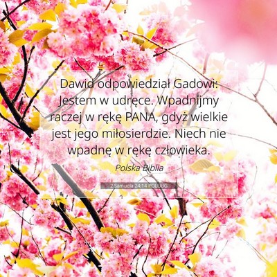 Picture 07 - 2 Samuela 24:14 POLUBG - Dawid odpowiedział Gadowi: Jestem w udręce. - Bible Verse Picture