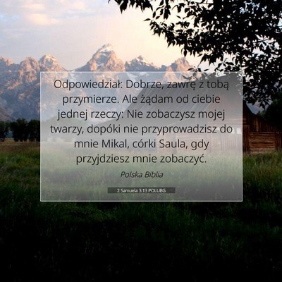 Picture 07 - 2 Samuela 3:13 POLUBG - Odpowiedział: Dobrze, zawrę z tobą przymierze. - Bible Verse Picture