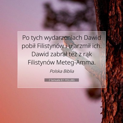 Picture 07 - 2 Samuela 8:1 POLUBG - Po tych wydarzeniach Dawid pobił Filistynów i - Bible Verse Picture