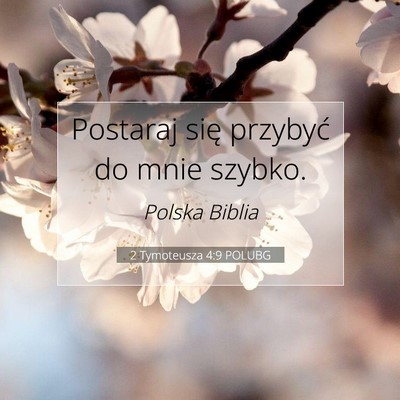 Picture 07 - 2 Tymoteusza 4:9 POLUBG - Postaraj się przybyć do mnie - Bible Verse Picture