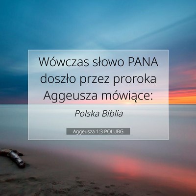 Picture 07 - Aggeusza 1:3 POLUBG - Wówczas słowo PANA doszło przez proroka - Bible Verse Picture