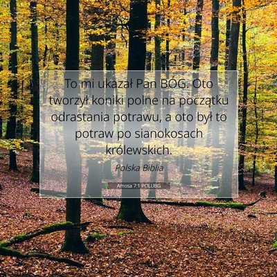 Picture 07 - Amosa 7:1 POLUBG - To mi ukazał Pan BÓG. Oto tworzył koniki polne - Bible Verse Picture