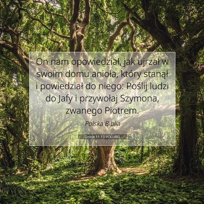 Picture 07 - Dzieje 11:13 POLUBG - On nam opowiedział, jak ujrzał w swoim domu - Bible Verse Picture