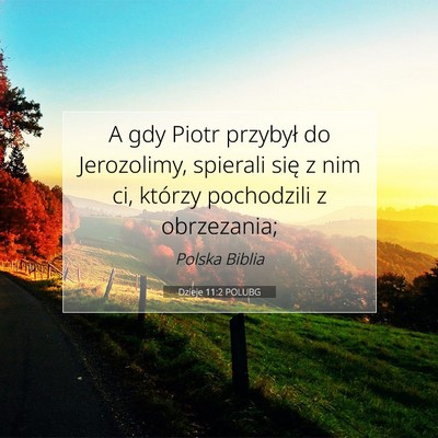 Picture 07 - Dzieje 11:2 POLUBG - A gdy Piotr przybył do Jerozolimy, spierali się - Bible Verse Picture