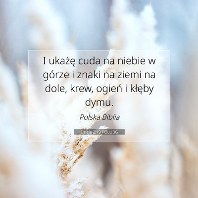 Picture 07 - Dzieje 2:19 POLUBG - I ukażę cuda na niebie w górze i znaki na - Bible Verse Picture