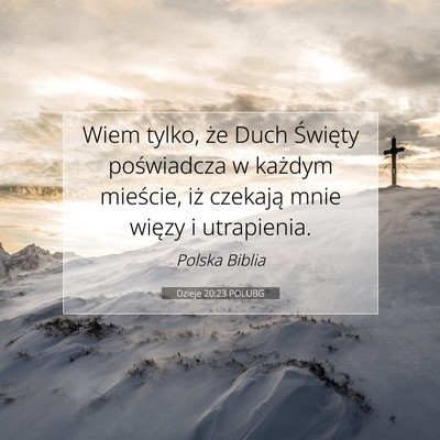 Picture 07 - Dzieje 20:23 POLUBG - Wiem tylko, że Duch Święty poświadcza w - Bible Verse Picture