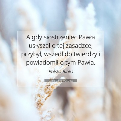 Picture 07 - Dzieje 23:16 POLUBG - A gdy siostrzeniec Pawła usłyszał o tej - Bible Verse Picture