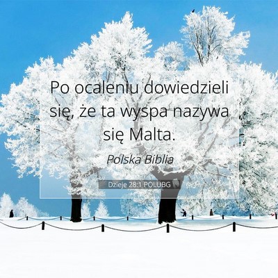 Picture 07 - Dzieje 28:1 POLUBG - Po ocaleniu dowiedzieli się, że ta wyspa nazywa - Bible Verse Picture