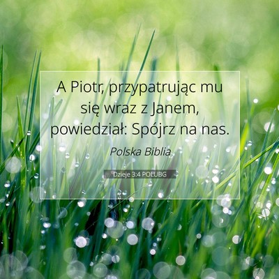 Picture 07 - Dzieje 3:4 POLUBG - A Piotr, przypatrując mu się wraz z Janem, - Bible Verse Picture