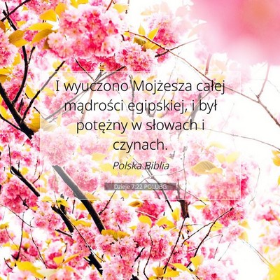 Picture 07 - Dzieje 7:22 POLUBG - I wyuczono Mojżesza całej mądrości egipskiej, - Bible Verse Picture