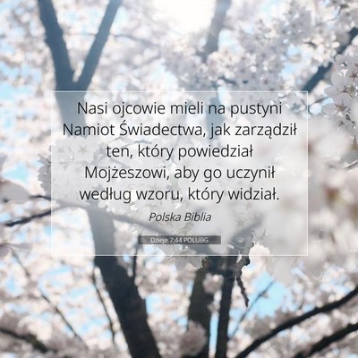 Picture 07 - Dzieje 7:44 POLUBG - Nasi ojcowie mieli na pustyni Namiot Świadectwa, - Bible Verse Picture