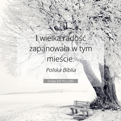 Picture 07 - Dzieje 8:8 POLUBG - I wielka radość zapanowała w tym - Bible Verse Picture