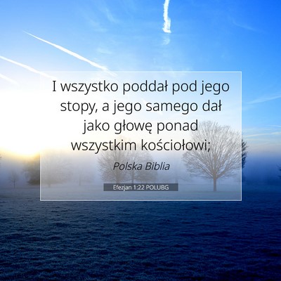 Picture 07 - Efezjan 1:22 POLUBG - I wszystko poddał pod jego stopy, a jego samego - Bible Verse Picture