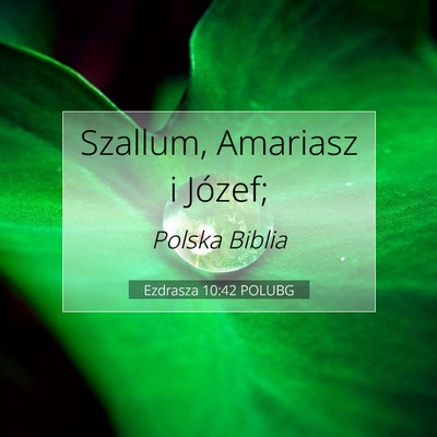 Picture 07 - Ezdrasza 10:42 POLUBG - Szallum, Amariasz i - Bible Verse Picture