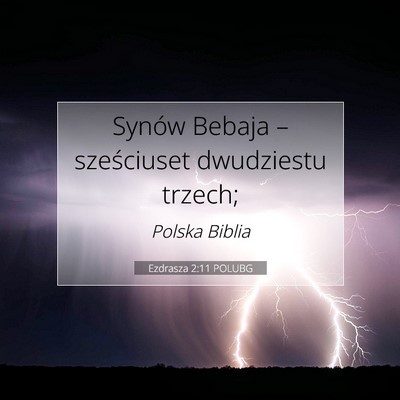 Picture 07 - Ezdrasza 2:11 POLUBG - Synów Bebaja – sześciuset dwudziestu - Bible Verse Picture