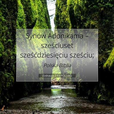 Picture 07 - Ezdrasza 2:13 POLUBG - Synów Adonikama – sześciuset - Bible Verse Picture