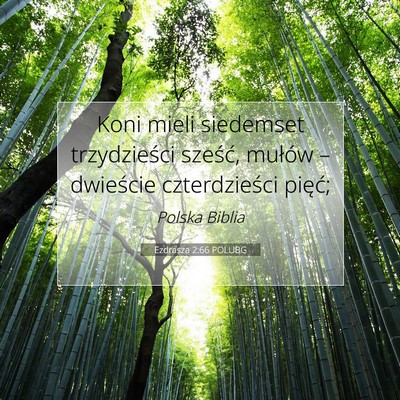 Picture 07 - Ezdrasza 2:66 POLUBG - Koni mieli siedemset trzydzieści sześć, - Bible Verse Picture