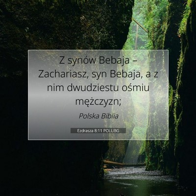 Picture 07 - Ezdrasza 8:11 POLUBG - Z synów Bebaja – Zachariasz, syn Bebaja, a z - Bible Verse Picture