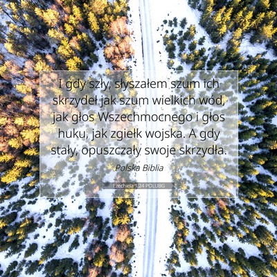 Picture 07 - Ezechiela 1:24 POLUBG - I gdy szły, słyszałem szum ich skrzydeł jak - Bible Verse Picture