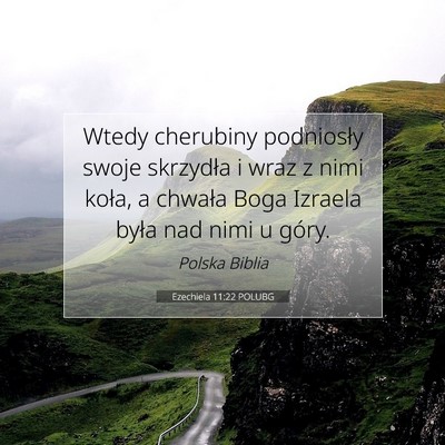 Picture 07 - Ezechiela 11:22 POLUBG - Wtedy cherubiny podniosły swoje skrzydła i wraz - Bible Verse Picture