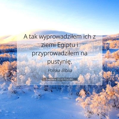 Picture 07 - Ezechiela 20:10 POLUBG - A tak wyprowadziłem ich z ziemi Egiptu i - Bible Verse Picture