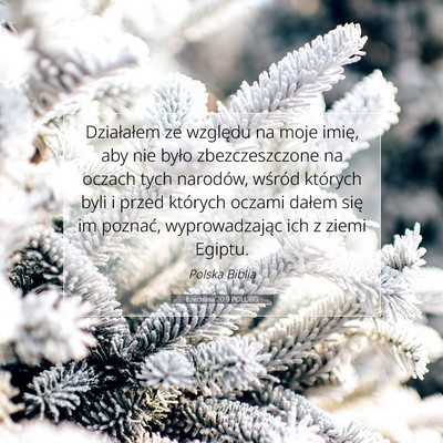 Picture 07 - Ezechiela 20:9 POLUBG - Działałem ze względu na moje imię, aby nie - Bible Verse Picture