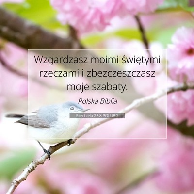 Picture 07 - Ezechiela 22:8 POLUBG - Wzgardzasz moimi świętymi rzeczami i - Bible Verse Picture