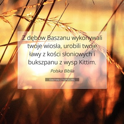 Picture 07 - Ezechiela 27:6 POLUBG - Z dębów Baszanu wykonywali twoje wiosła, - Bible Verse Picture