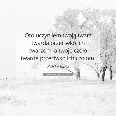 Picture 07 - Ezechiela 3:8 POLUBG - Oto uczyniłem twoją twarz twardą przeciwko ich - Bible Verse Picture