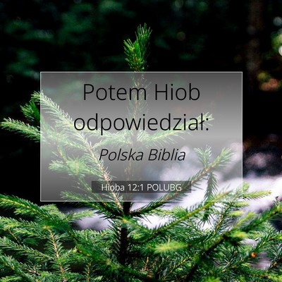Picture 07 - Hioba 12:1 POLUBG - Potem Hiob - Bible Verse Picture