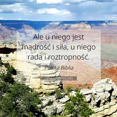 Picture 07 - Hioba 12:13 POLUBG - Ale u niego jest mądrość i siła, u niego rada - Bible Verse Picture