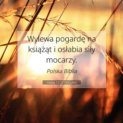 Picture 07 - Hioba 12:21 POLUBG - Wylewa pogardę na książąt i osłabia siły - Bible Verse Picture