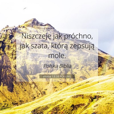 Picture 07 - Hioba 13:28 POLUBG - Niszczeję jak próchno, jak szata, którą - Bible Verse Picture