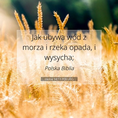Picture 07 - Hioba 14:11 POLUBG - Jak ubywa wód z morza i rzeka opada, i - Bible Verse Picture