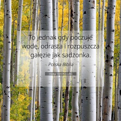 Picture 07 - Hioba 14:9 POLUBG - To jednak gdy poczuje wodę, odrasta i rozpuszcza - Bible Verse Picture