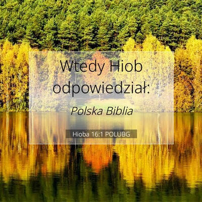Picture 07 - Hioba 16:1 POLUBG - Wtedy Hiob - Bible Verse Picture
