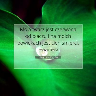 Picture 07 - Hioba 16:16 POLUBG - Moja twarz jest czerwona od płaczu i na moich - Bible Verse Picture