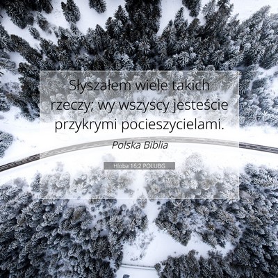 Picture 07 - Hioba 16:2 POLUBG - Słyszałem wiele takich rzeczy; wy wszyscy - Bible Verse Picture