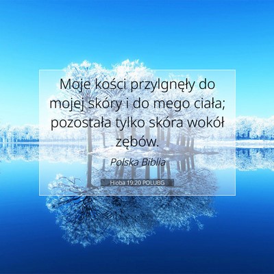 Picture 07 - Hioba 19:20 POLUBG - Moje kości przylgnęły do mojej skóry i do - Bible Verse Picture