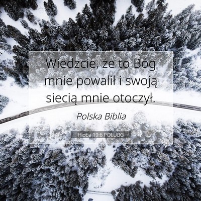 Picture 07 - Hioba 19:6 POLUBG - Wiedzcie, że to Bóg mnie powalił i swoją - Bible Verse Picture