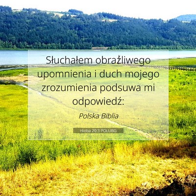 Picture 07 - Hioba 20:3 POLUBG - Słuchałem obraźliwego upomnienia i duch mojego - Bible Verse Picture