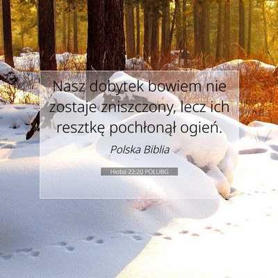 Picture 07 - Hioba 22:20 POLUBG - Nasz dobytek bowiem nie zostaje zniszczony, lecz - Bible Verse Picture
