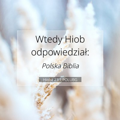 Picture 07 - Hioba 23:1 POLUBG - Wtedy Hiob - Bible Verse Picture
