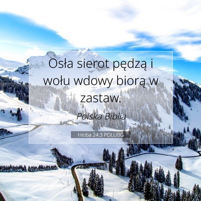 Picture 07 - Hioba 24:3 POLUBG - Osła sierot pędzą i wołu wdowy biorą w - Bible Verse Picture
