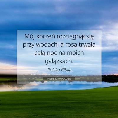 Picture 07 - Hioba 29:19 POLUBG - Mój korzeń rozciągnął się przy wodach, a - Bible Verse Picture